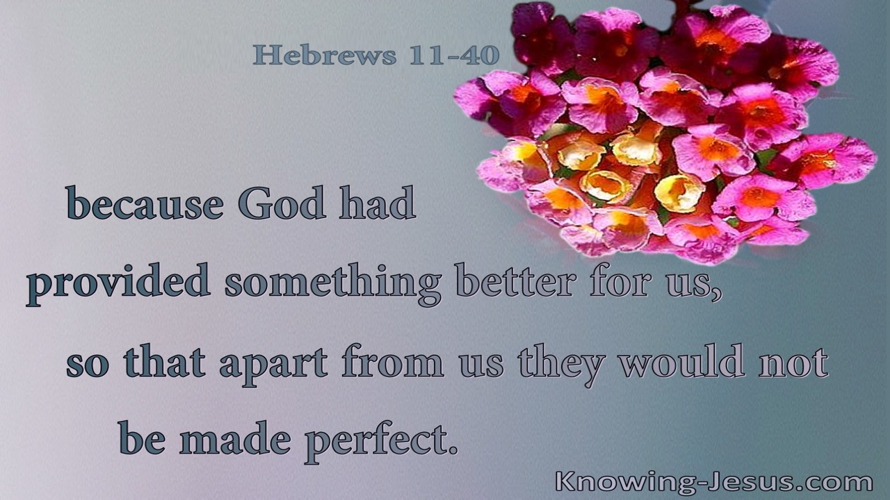 Hebrews 11:40 God Provided Something Better (pink)